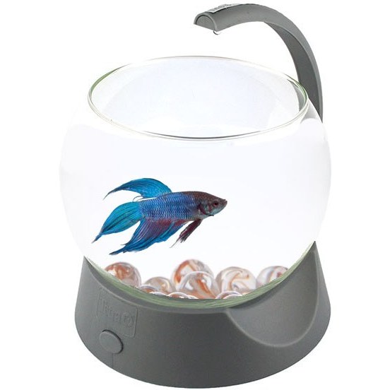 تنگ ماهی باطری دار بتا ( فایتر ) تترا - Tetra Betta Bowl